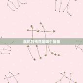 属蛇的桃花是哪个属相，属蛇的人逢哪年遇桃花