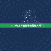 2024年龙年宜生子的属相父母，父母与子女生肖属相的问题