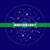 属狗的今年多大年龄了，属牛的今年多大年龄了