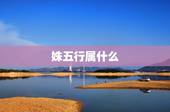 姝五行属什么，“姝”字的五行属性