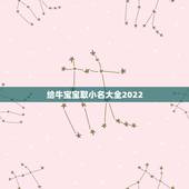 给牛宝宝取小名大全2022，属牛宝宝起名