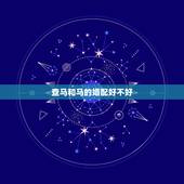 查马和马的婚配好不好，90年出生属马女和90年属马 男结婚合适吗