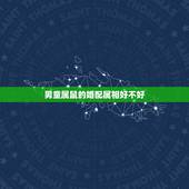 男童属鼠的婚配属相好不好，属鼠的婚配什么属相