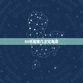 83年属猪几大灾寿命，83年属猪38岁有一灾