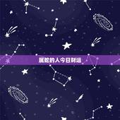 属蛇的人今日财运，1977年属蛇人2022 年运势