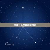 虎和什么生肖最配相克，虎和鼠相配婚姻如何
