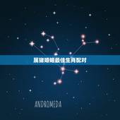 属猪婚姻最佳生肖配对，什么属相是属猪的最佳婚配