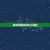 属龙的属蛇的是什么属相，家里有属龙属蛇和属虎的，再要一个什么属相比较好