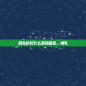 属兔的和什么属相最配、相克，属兔的和什么属相最配、相克与兔相冲相克的属