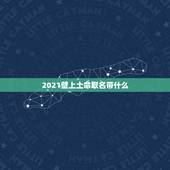 2021壁上土命取名带什么，2021年2月13日23:49分出生的孩子