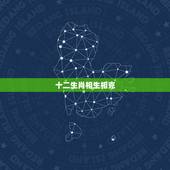 十二生肖相生相克，十二生肖属相相生相克
