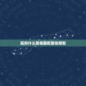 鼠和什么属相最配最佳婚配，属鼠的和什么属相般配