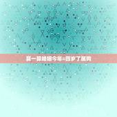 算一算婚姻今年=四岁了属狗，1982年属狗的婚姻
