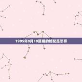 1995年8月19属相的婚配是怎样，95年属猪的和什么属相最配