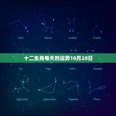 十二生肖每天的运势10月28日，十二生肖每日运势查询
