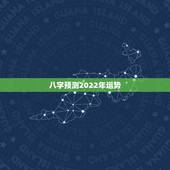 八字预测2022年运势，八字2022年运势有灾难吗因为流年相冲。求解释