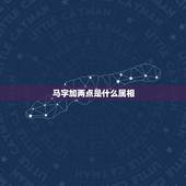 马字加两点是什么属相，属马1990年11月26日两点生是什么生辰八字