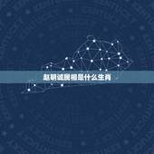 赵明诚属相是什么生肖，请问我的属相到底是什么