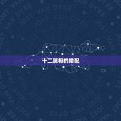 十二属相的婚配，属猴的和什么属相最相配 12属相婚配表