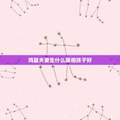 鸡鼠夫妻生什么属相孩子好，属鸡的找什么属相的好