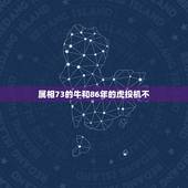 属相73的牛和86年的虎投机不，属相牛与虎是否相克