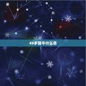 49岁属牛什么命，47岁属什么生肖