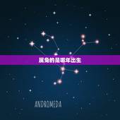 属兔的是哪年出生，属虎的是哪年出生的