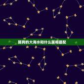 属狗的大海水和什么属相最配，属狗的和属什么最相配