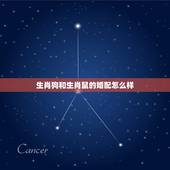 生肖狗和生肖鼠的婚配怎么样，狗与鼠属相婚配好吗