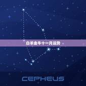 白羊金牛十一月运势，星座运势 关于金牛座