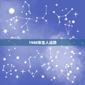 1988年生人运势，1988年出生的人.属龙的.今年财运怎么样