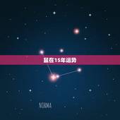 鼠在15年运势，属鼠人阴历9月生人的15年运势如何