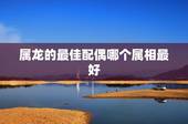 属龙的最佳配偶哪个属相最好，88年属龙的女孩最佳配偶是什么？