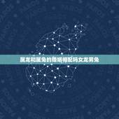 属龙和属兔的婚姻相配吗女龙男兔，老公属兔老婆属龙