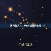 属狗的人2022年的运势及运程，属狗人2022年运势运程