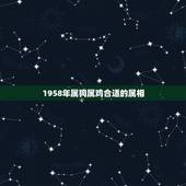 1958年属狗属鸡合适的属相，生肖属狗和属鸡适不适合