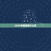 2025年属蛇是什么命，属蛇的本命年是哪几年