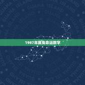 1987年属兔命运数字，87年出生的幸运数字