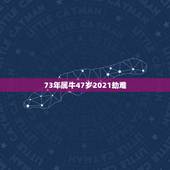 73年属牛47岁2021劫难，73年属牛幸运数字是多少