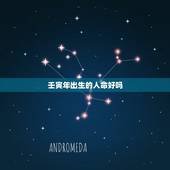 壬寅年出生的人命好吗，壬寅年是什么命