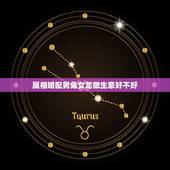 属相婚配男兔女龙做生意好不好，88年属龙的(男)跟87年属兔的(女)可