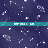 属兔1987年是什么命，属兔2022 年运势及运程