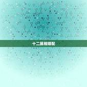 十二属相婚配，和属什么生肖婚配最好