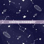 85年的牛和84年的鼠婚姻如何，鼠和牛属相合不合