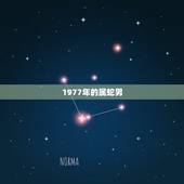 1977年的属蛇男，77年属蛇男人婚姻运势