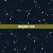 属蛇是哪个时辰，蛇时辰是几点