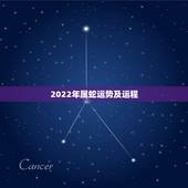 2022年属蛇运势及运程，2022犯太岁生肖属相