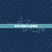 男属牛婚配什么属相佳，男属牛的和什么属相相配最佳 &amp;#8211; 百度·