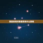 属鼠的找对象最忌讳什么属相，鼠跟什么属相不合