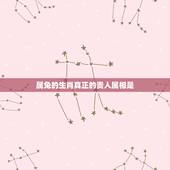 属兔的生肖真正的贵人属相是，属兔的贵人是什么属相